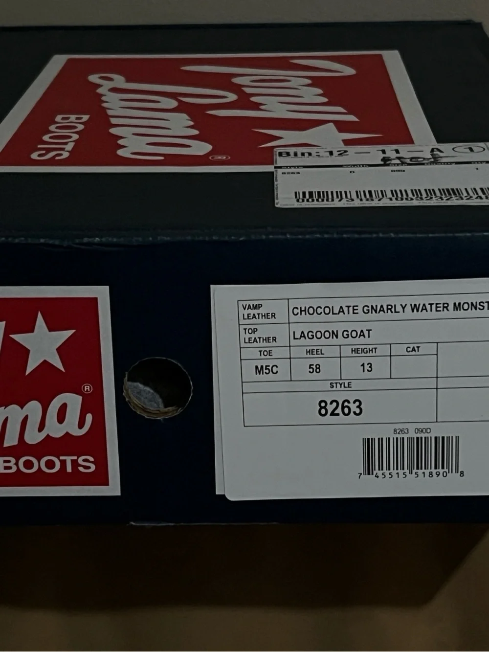 Chippewa sturdy shoe
